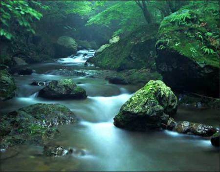 la nature