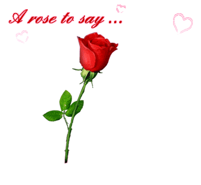 amour