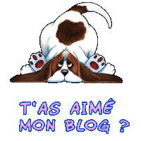 lachez