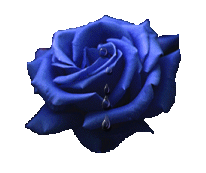 fleur
