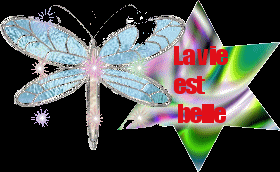 la vie