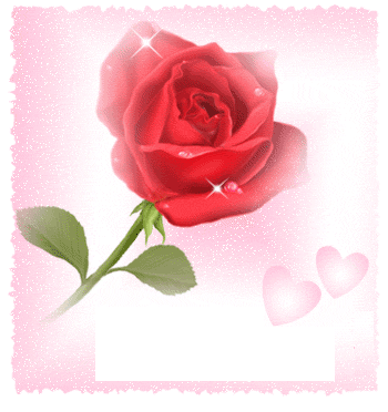 fleurs d'amour