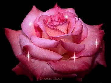 belle fleur