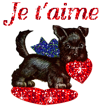 image gif n 79